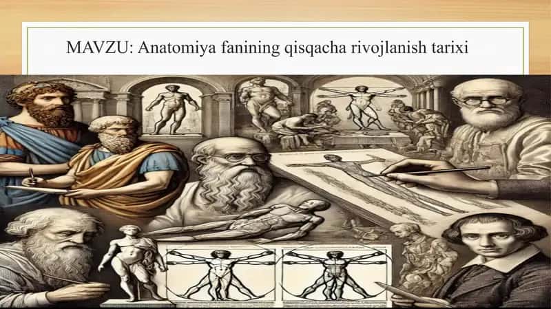 Anatomiya fanining rivojlanish tarixi