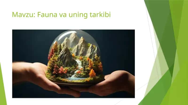 Fauna va uning tarkibi