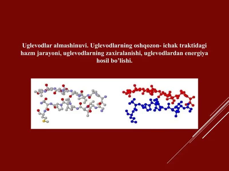 Uglevodlar almashinuvi. Uglevodlarning oshqozon- ichak traktidagi hazm jarayoni, uglevodlarning zaxiralanishi, uglevodlardan energiya hosil bo’lishi.