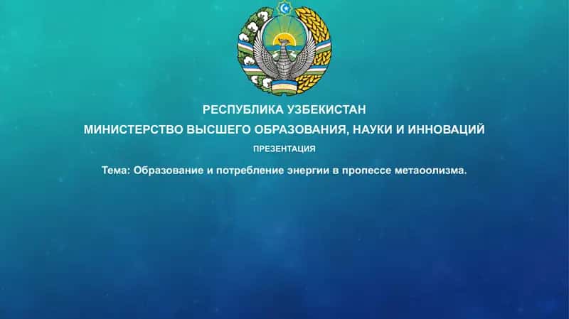 Презентация