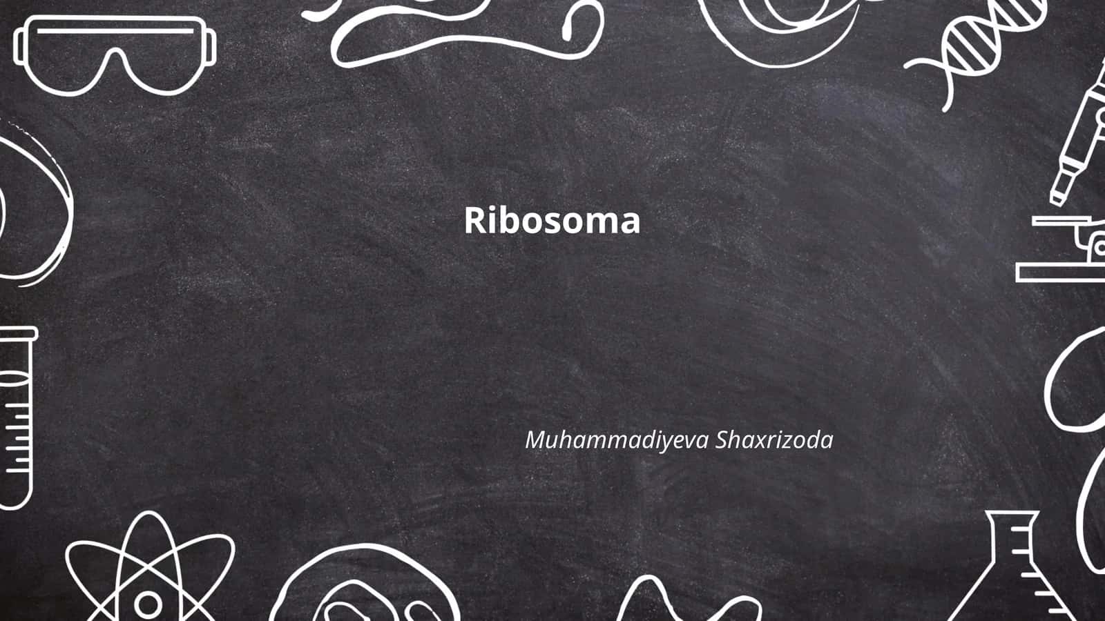 Ribosoma