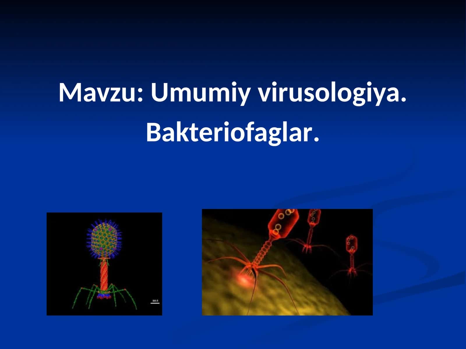 Umumiy virusologiya. Bakteriofaglar