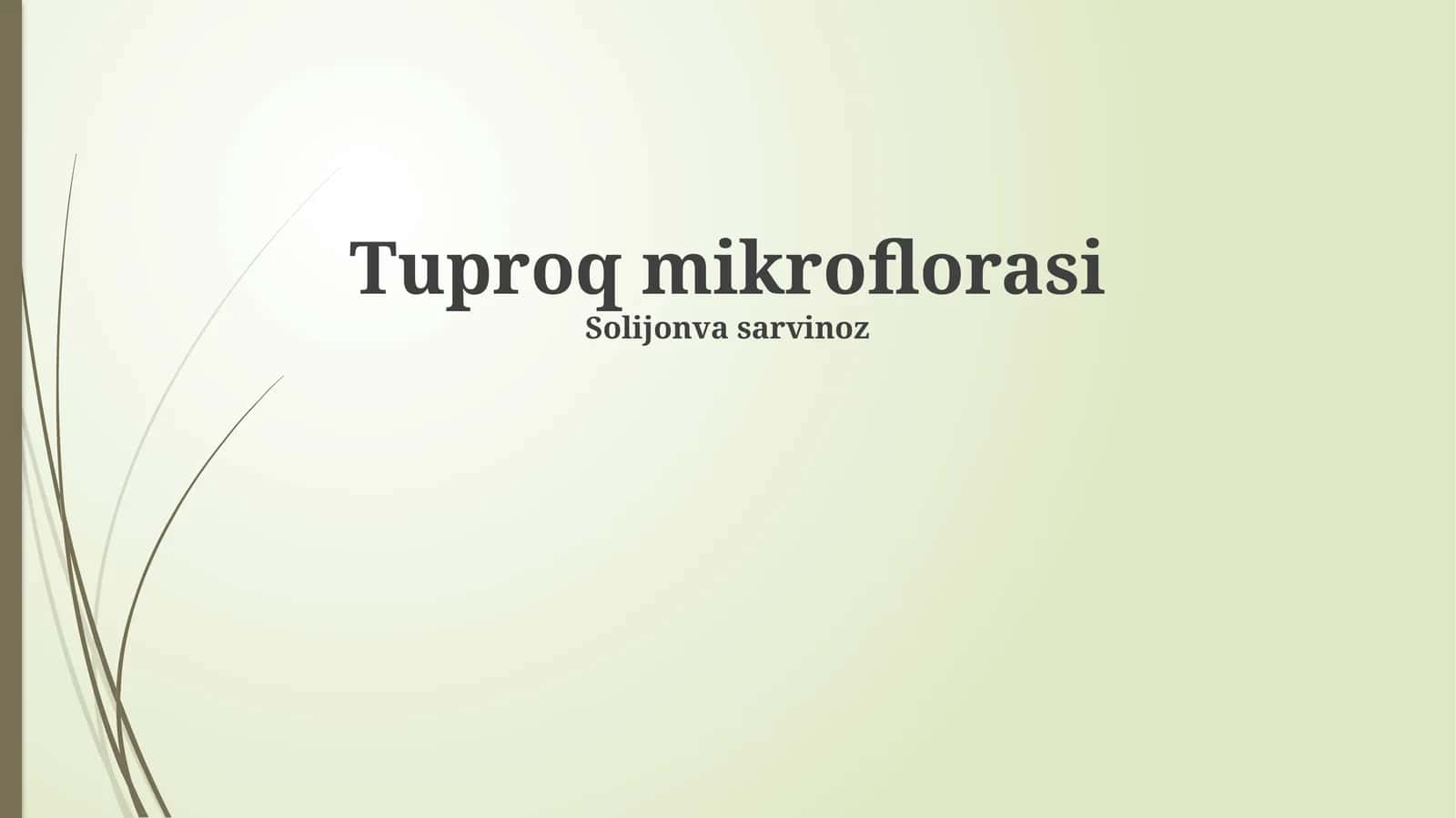Tuproq mikroflorasi
