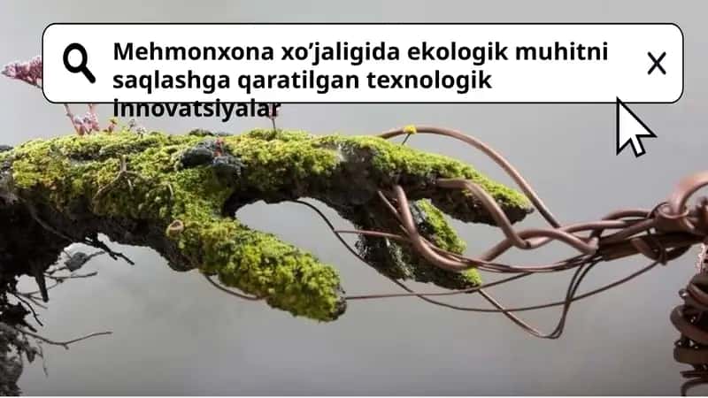 Mehmonxona xo’jaligida ekologik muhitni saqlashga qaratilgan texnologik innovatsiyalar
