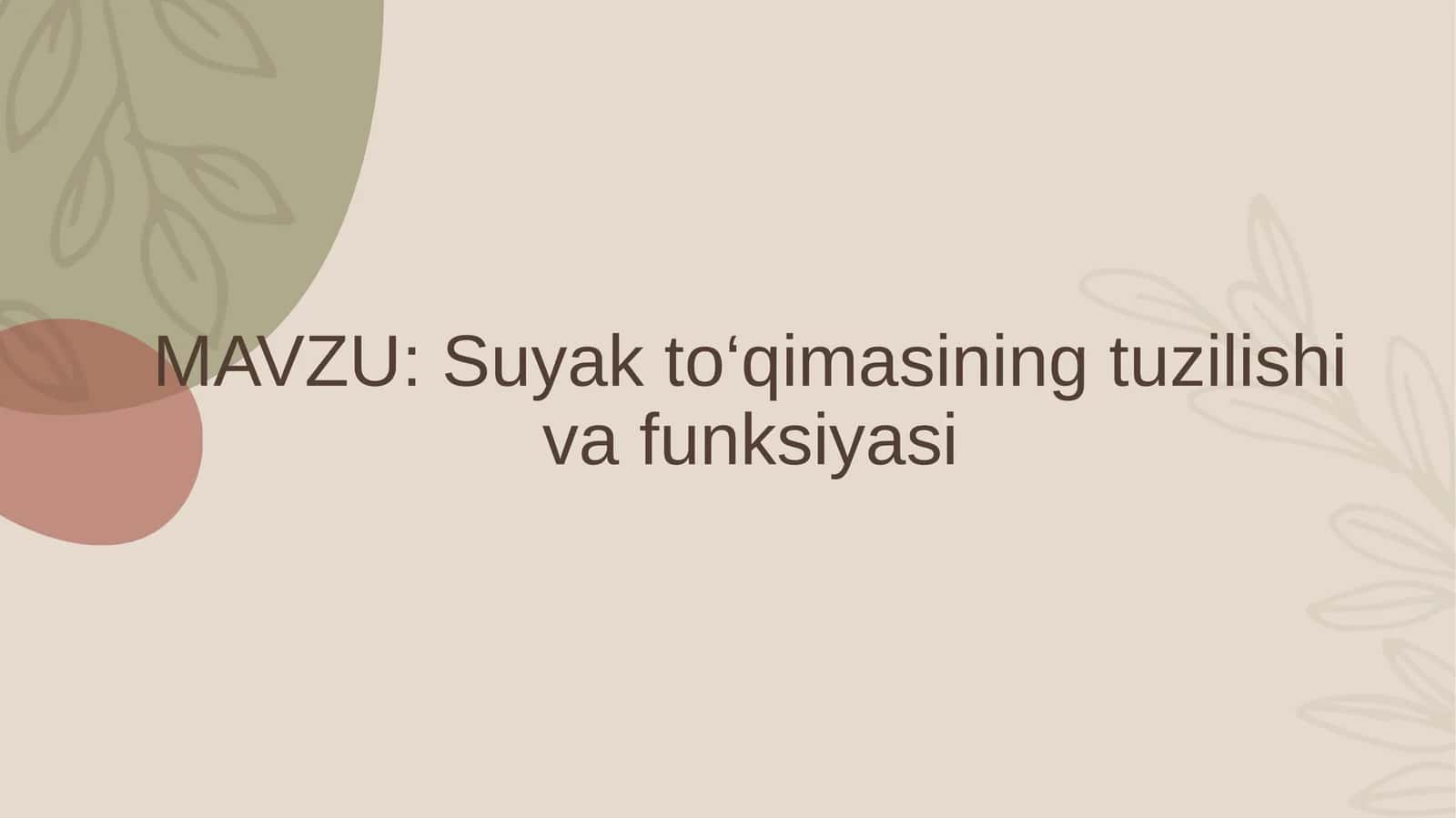 Suyak to‘qimasining tuzilishi va funksiyasi