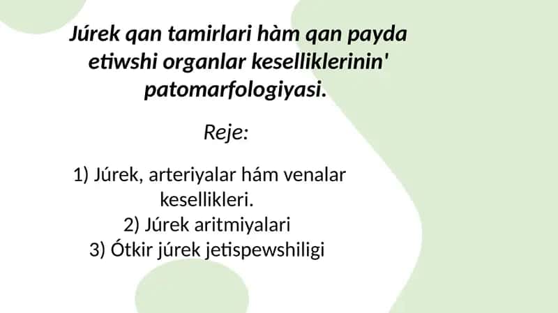 Júrek qan-tamır sistemasi kesellikleri patomorfologiyasi