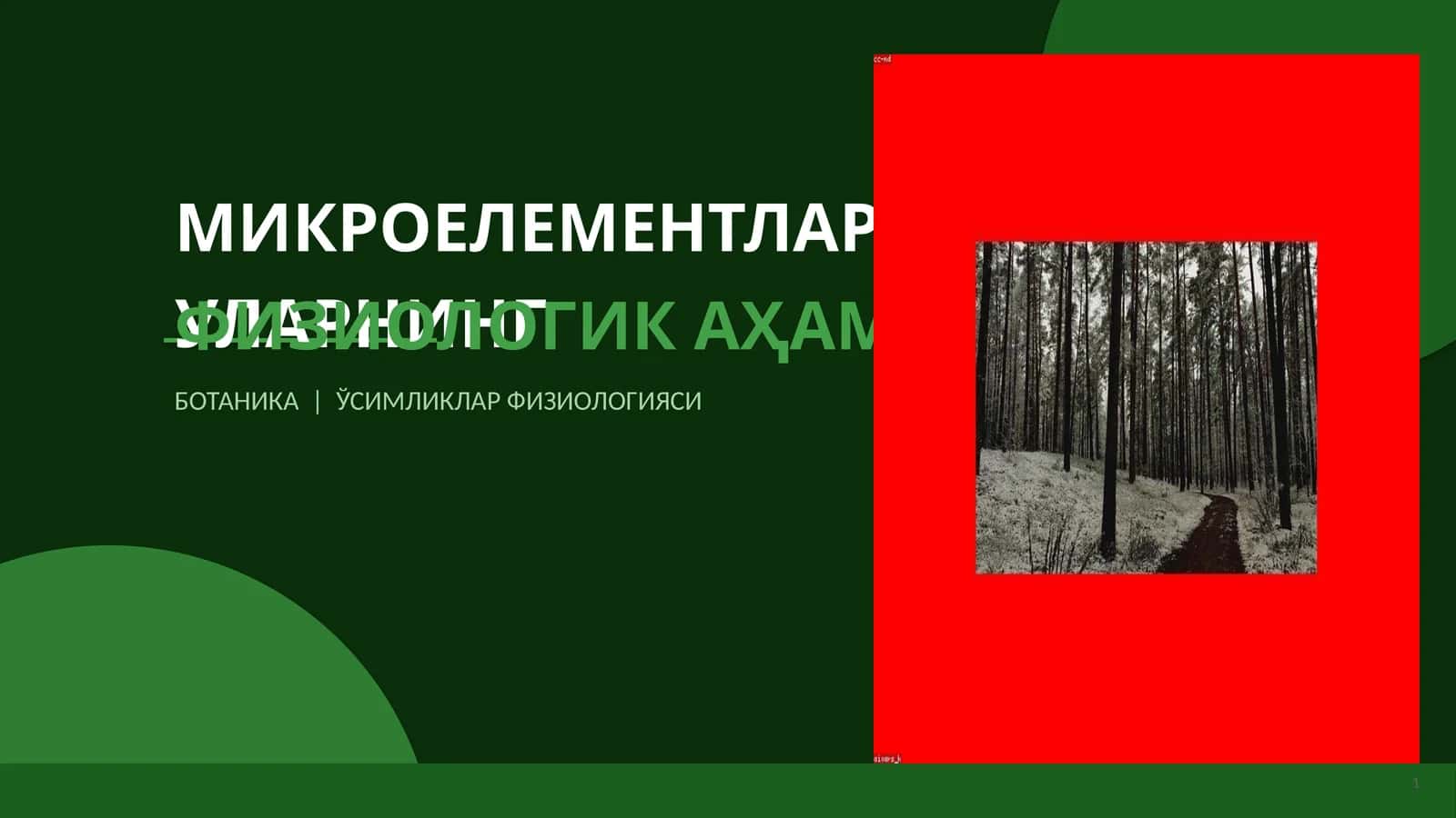 МИКРОEЛEМEНТЛАР ВА УЛАРНИНГ ФИЗИОЛОГИК АҲАМИЯТИ