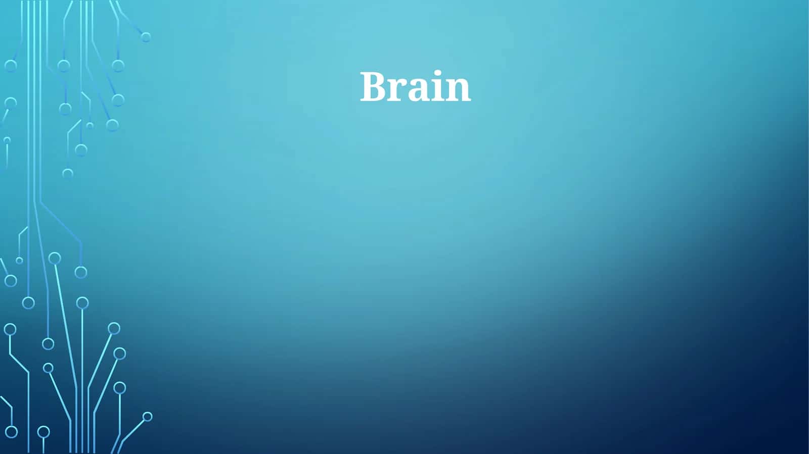 Brain