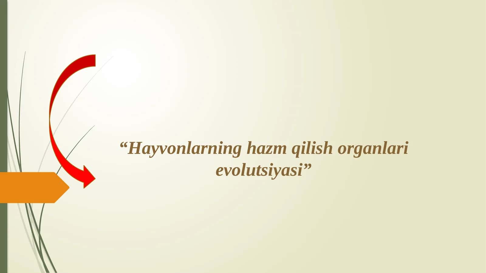 Hayvonlarning qon aylanish organlari evolutsiyasi