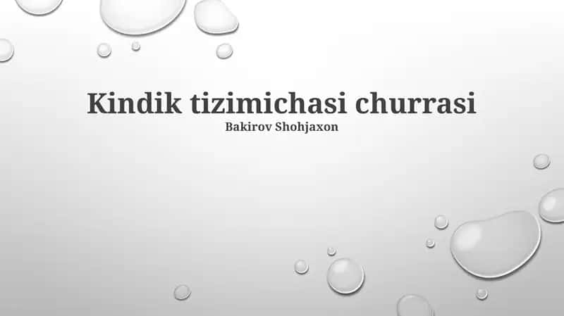 Kindik tizimichasi churrasi