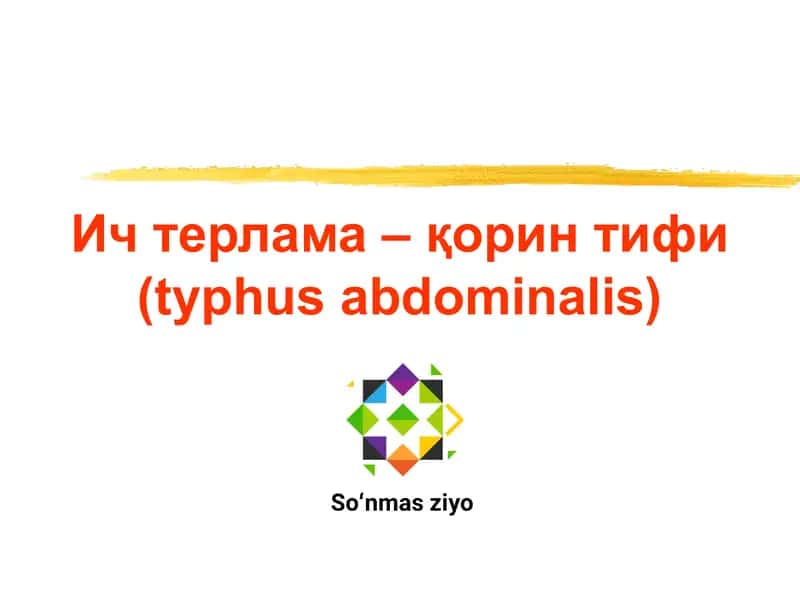 Корин тифи (typhus abdominalis)