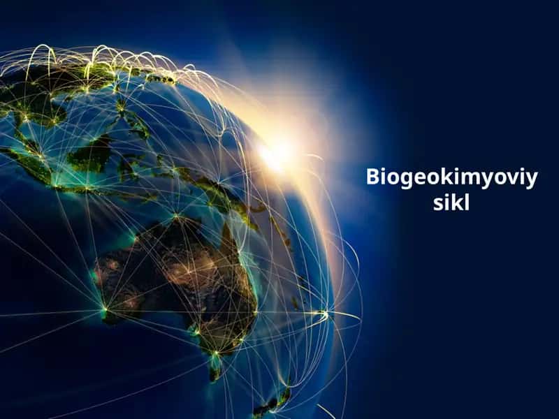 Biogeo kimyoviy sikl