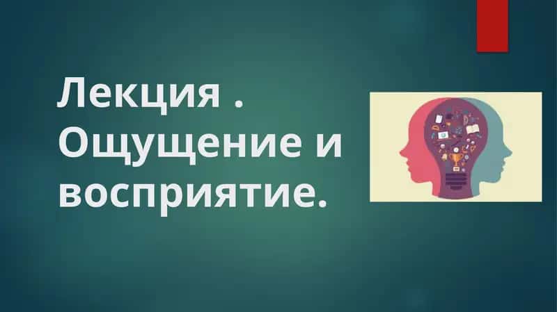Лекция Ощущение и восприятие