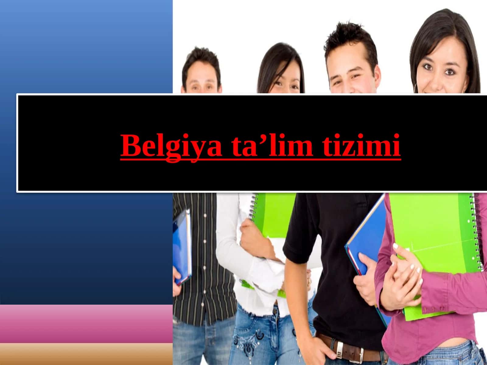 Belgiya taʼlim tizimi