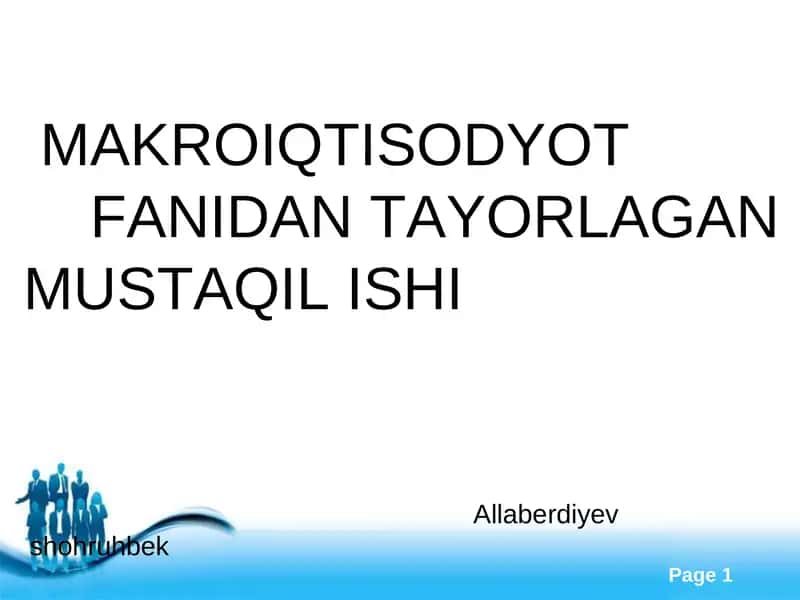 MAKROIQTISODYOT FANIDAN TAYORLAGAN MUSTAQIL ISHI
