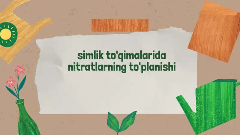 Nitratlarning simlik to'qimalarida roli va ta'siri