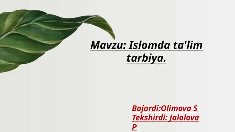Islomdata'limtarbiya