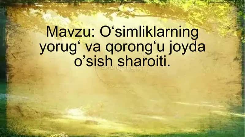 Oʻsimliklarning yorugʻ va qorongʻu joyda o’sish sharoiti.