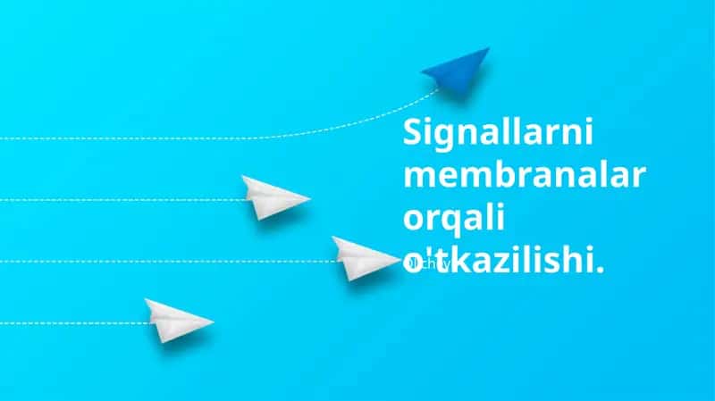 Signallarni membranalar orqali o'tkazilishi