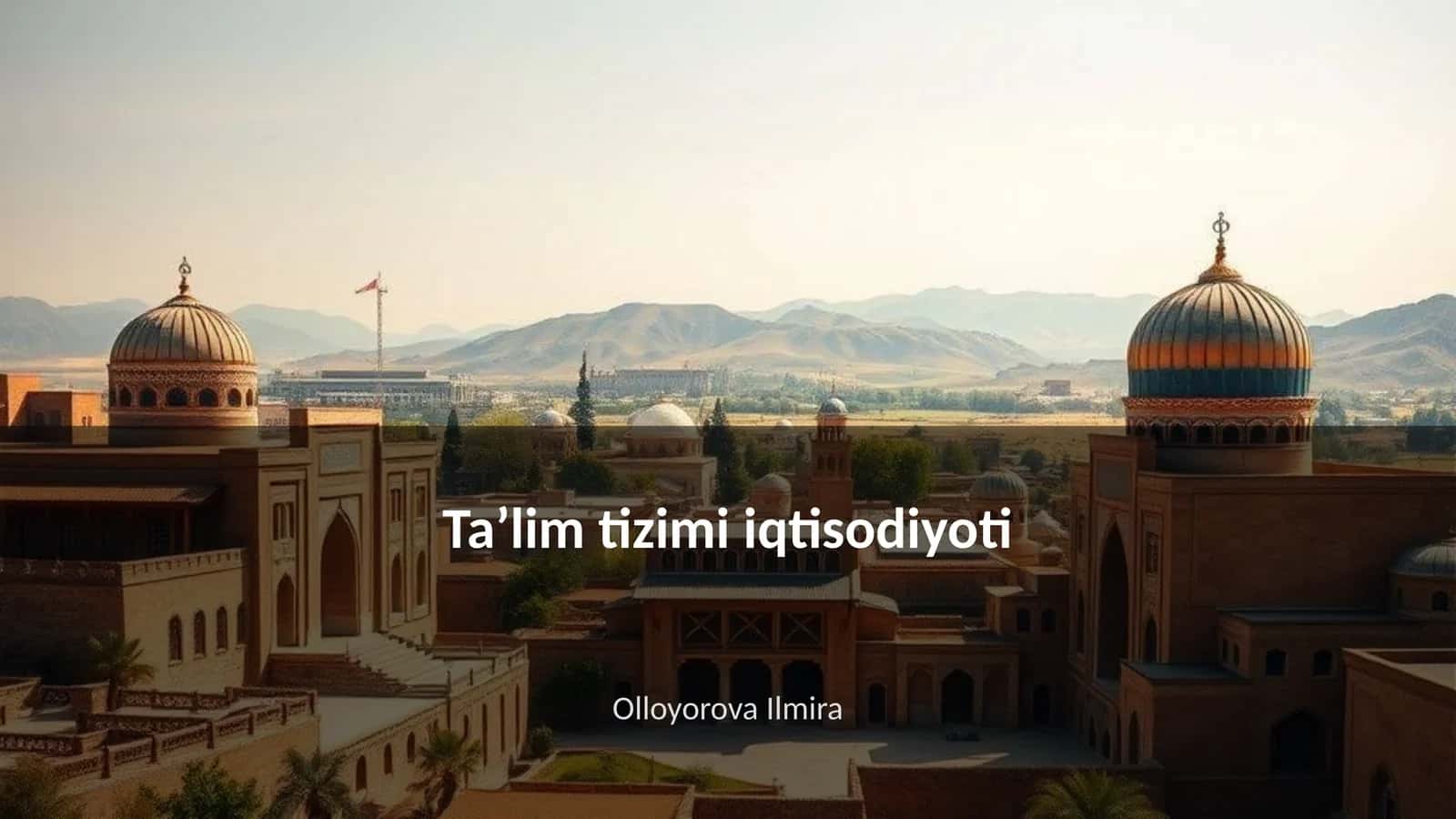 Taʼlim tizimi iqtisodiyoti