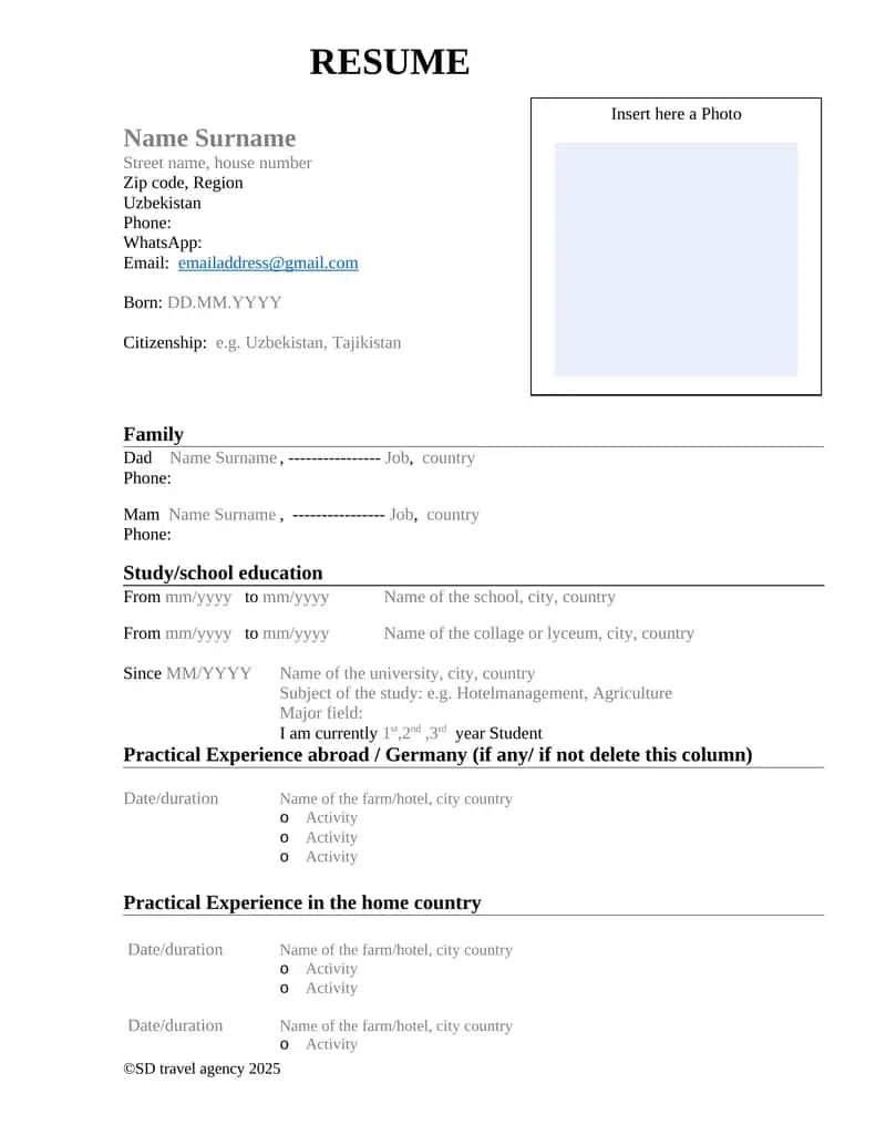 CV (Curriculum Vitae)