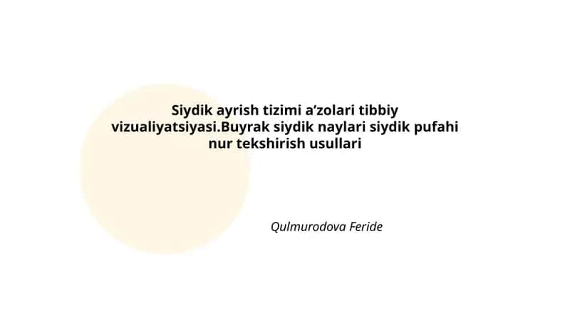 Siydik ayrish tizimi a’zolari tibbiy vizualiyatsiyasi
