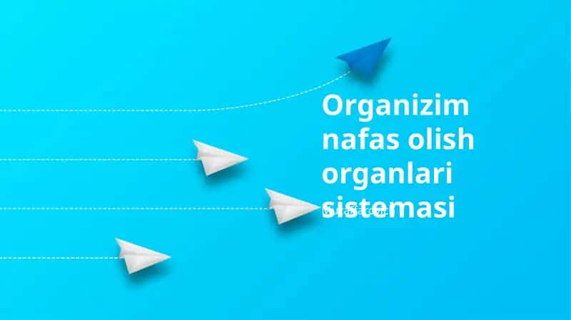 Organizim nafas olish organlari sistemasi