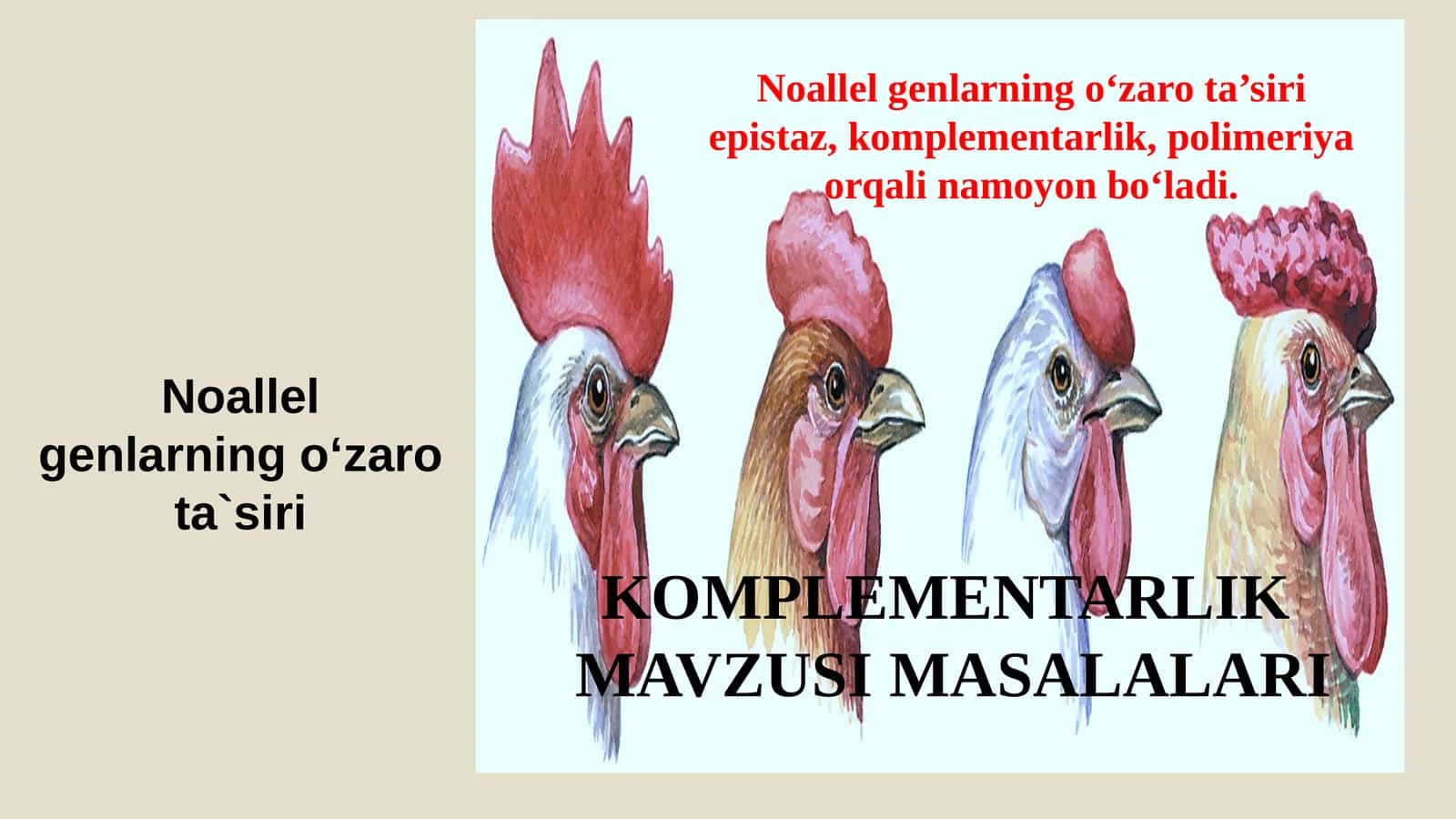 Komplementarlik MAVZUSI MASALALARI