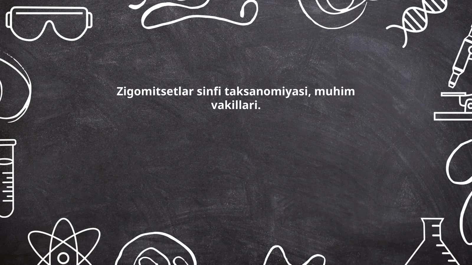 Zigomitsetlar sinfi taksanomiyasi, muhim vakillari