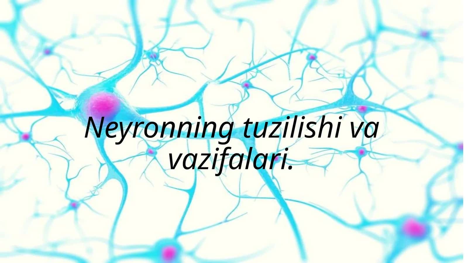 Neyronning tuzilishi va vazifalari