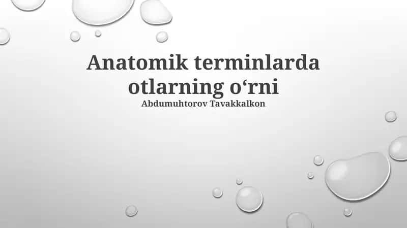 Anatomik terminlarda otlarning oʻrni