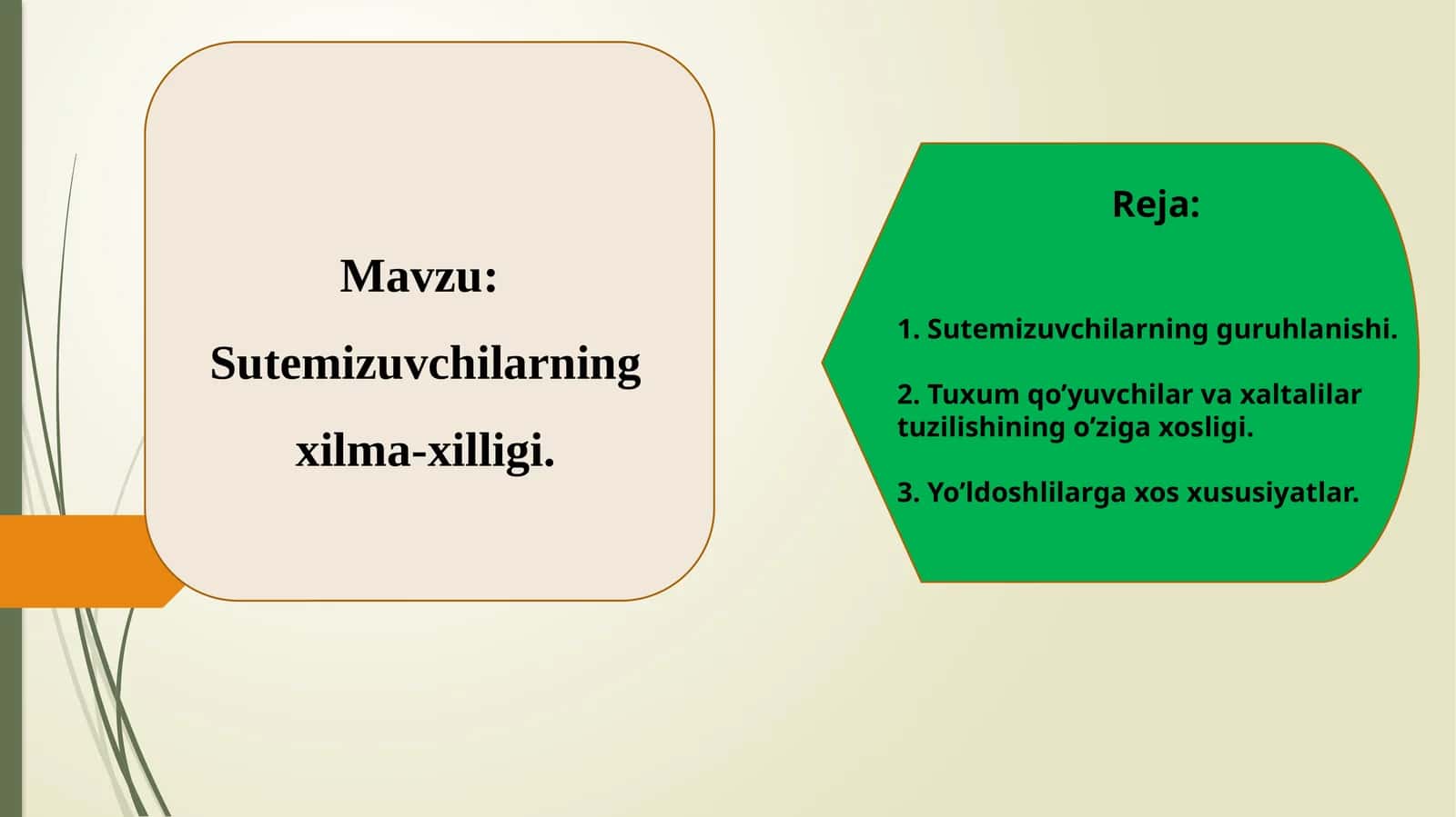 Sutemizuvchilarning xilma-xilligi
