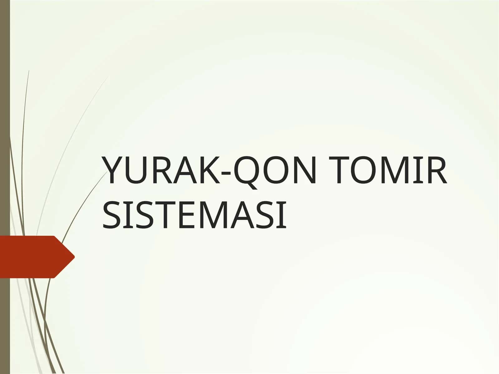 Prezentatsiya