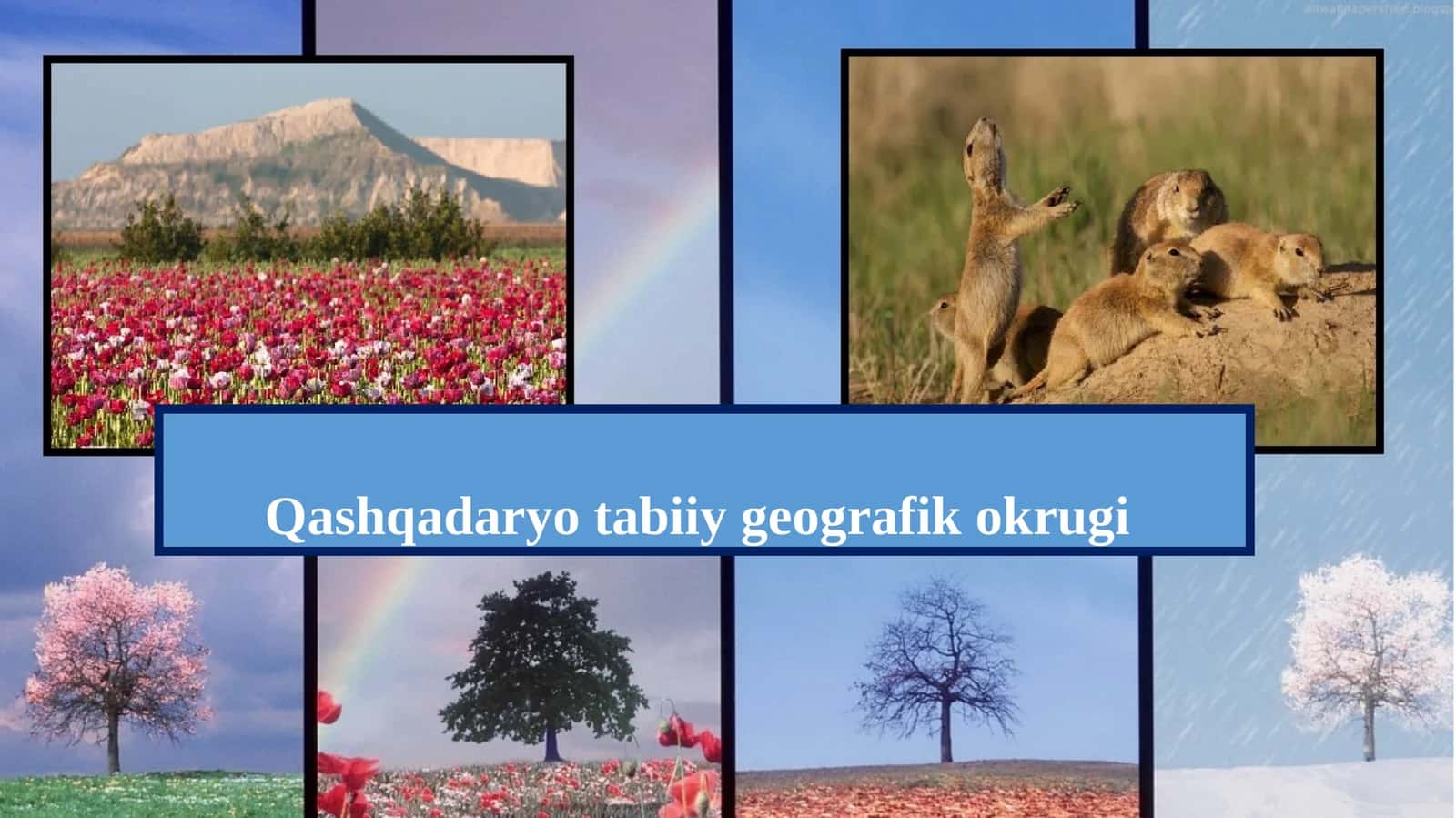Qashqadaryo tabiiy geografik okrugi