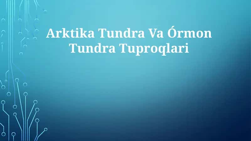 Arktika Tundra Va Órmon TundraTuproqlari