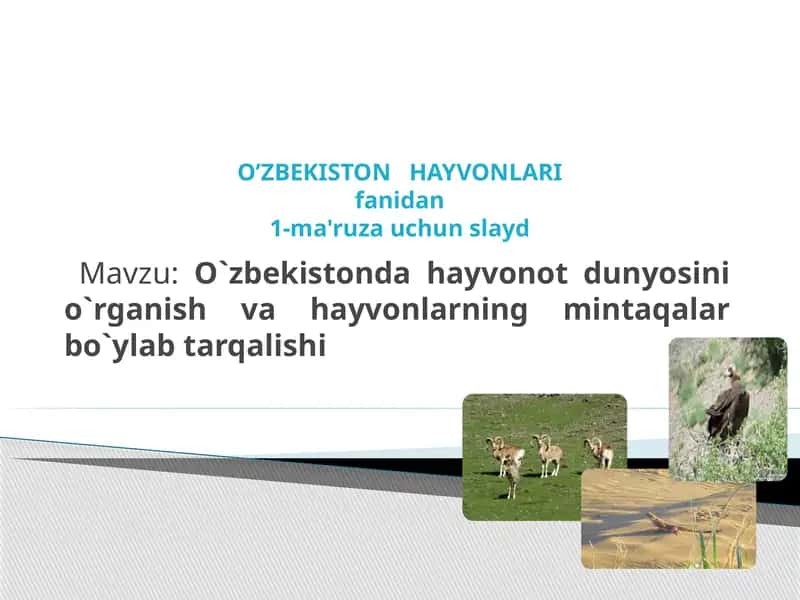 Abu Rayhon Beruniy va Abu Ali ibn Sino o'zbekistonda hayvonot dunyosini o'rganish va hayvonlarning mintaqalar bo'yicha tarqalishi
