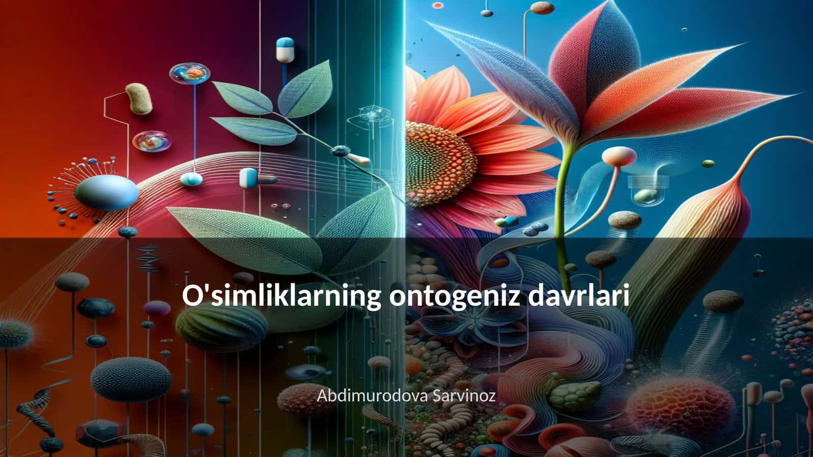 O'simliklarning ontogeniz davrlari