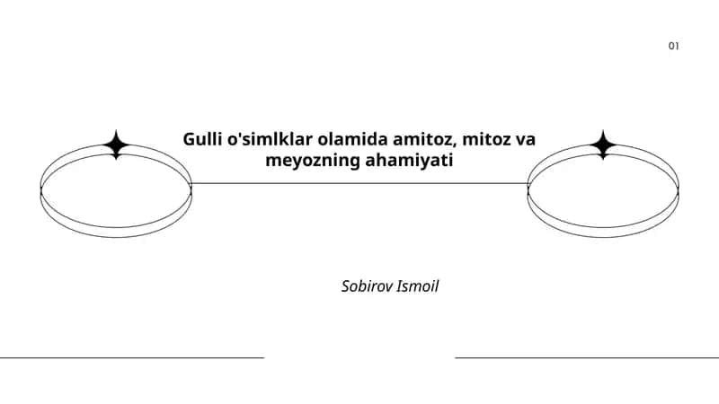 Gulli o'simlklar olamida amitoz, mitoz va meyozning ahamiyati