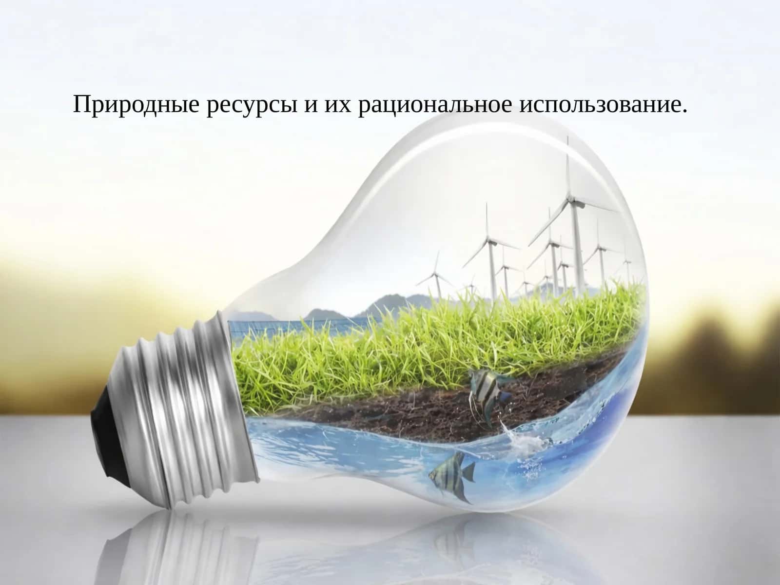 Природные ресурсы и их рациональное использование