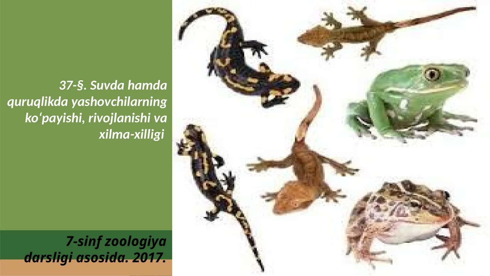 7-sinf Zoologiya 'Suvda hamda quruqlikda yashovchilarning ko'payishi, rivojlanishi va xilma-xilligi' ko'rgazma