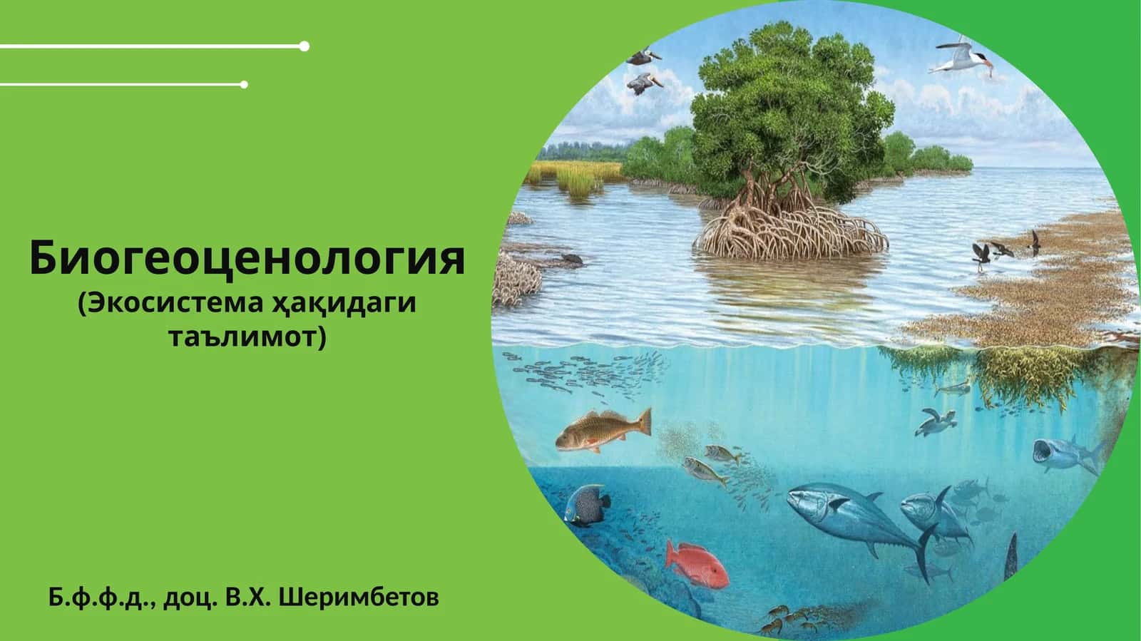 Биогеоценология(Экосистема ҳақидаги таълимот)