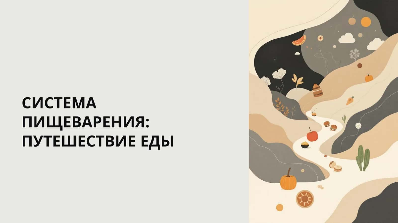 СИСТЕМА ПИЩЕВАРЕНИЯ: ПУТЕШЕСТВИЕ ЕДЫ