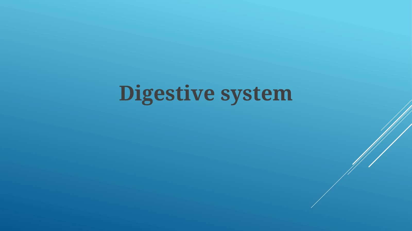 Anatomy and Organs of the Digestive System
