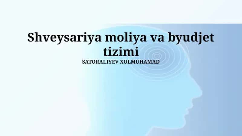 Shveysariya moliya va byudjet tizimi