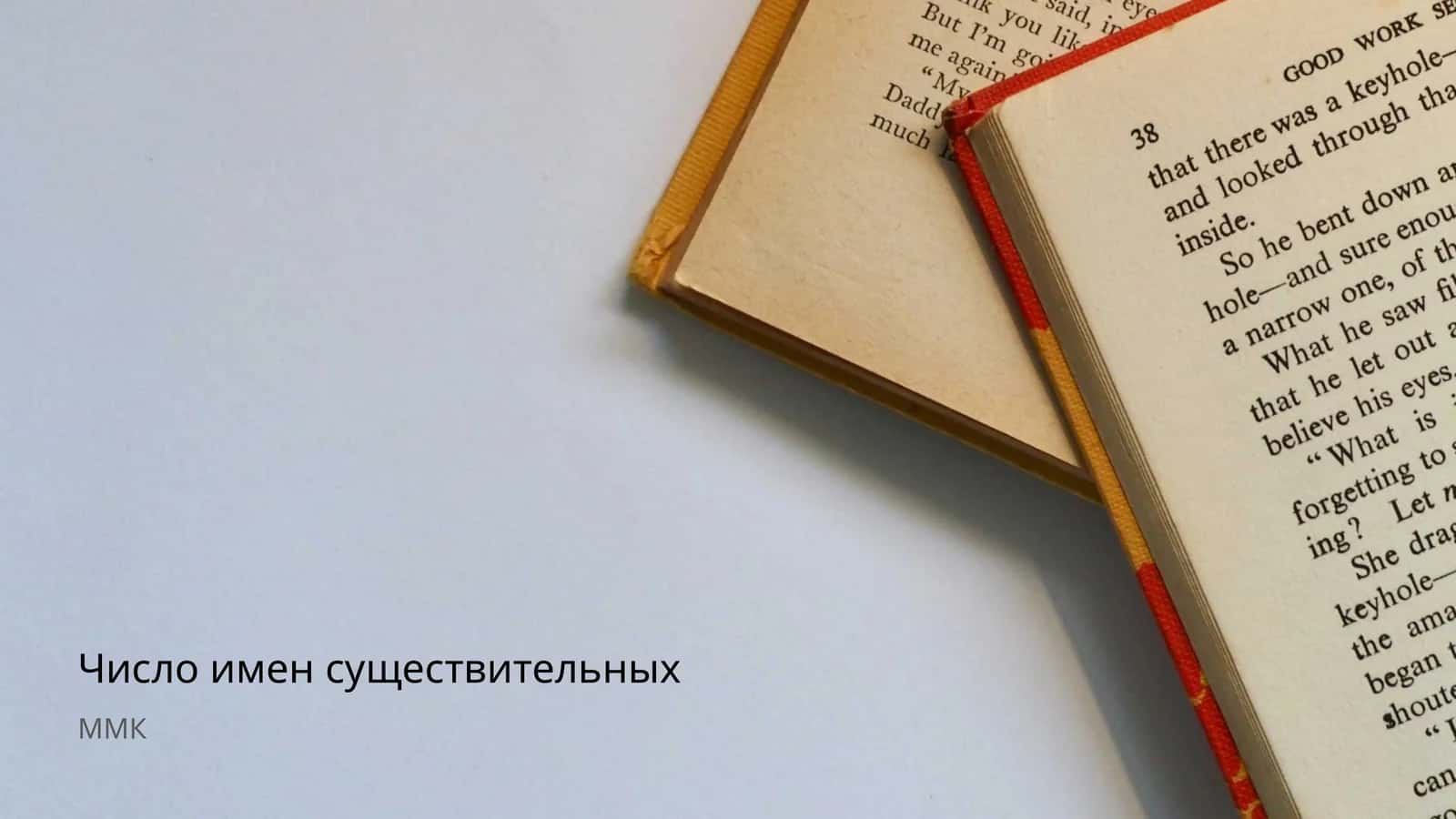 Число имен существительных