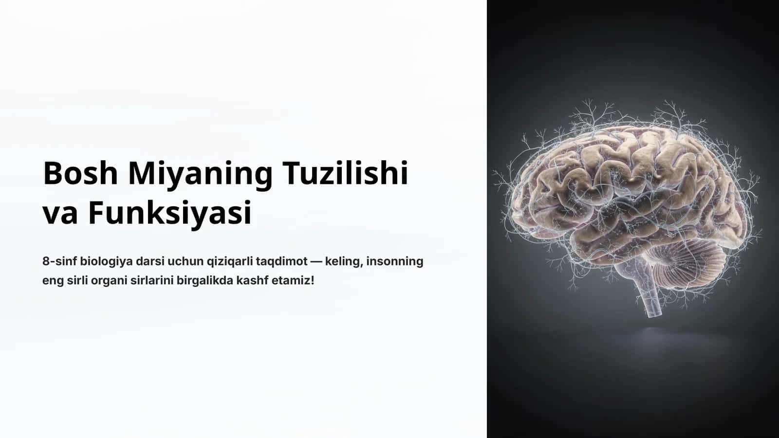 Bosh Miyaning Tuzilishi va Funksiyasi