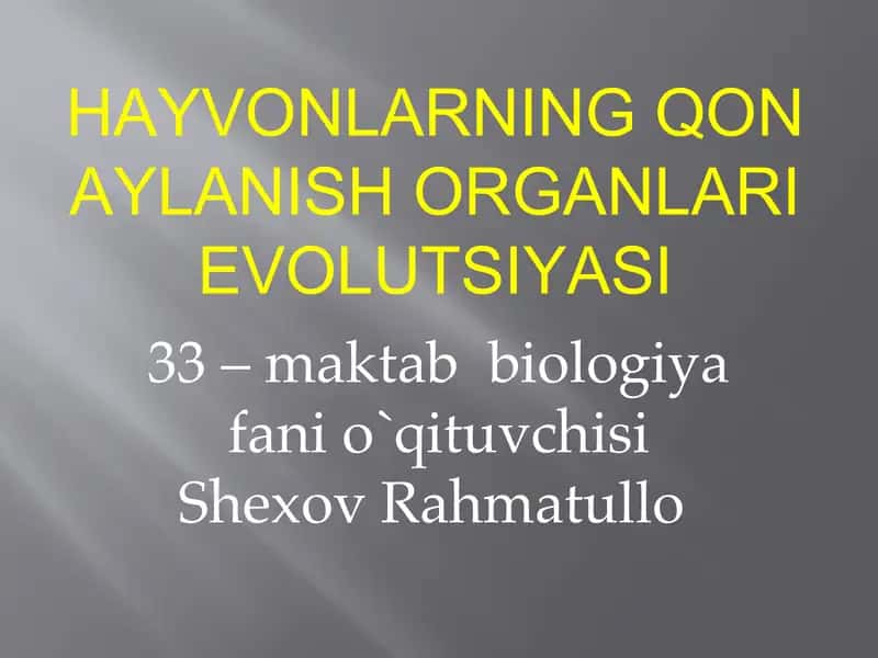 HAYVONLARNING QON AYLANISH ORGANLARI EVOLUTSIYASI