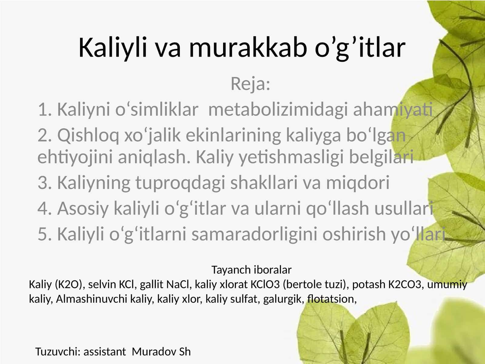 Kaliyli va murakkab o’g’itlar