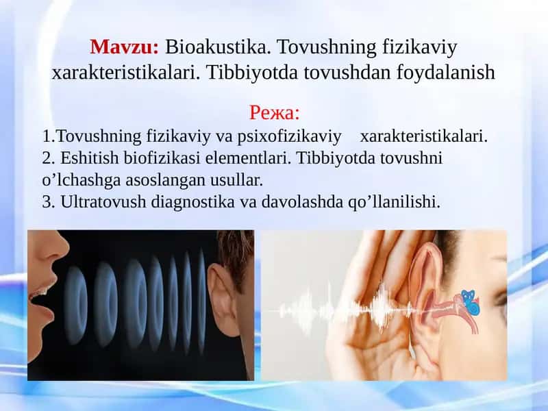 Bioakustika