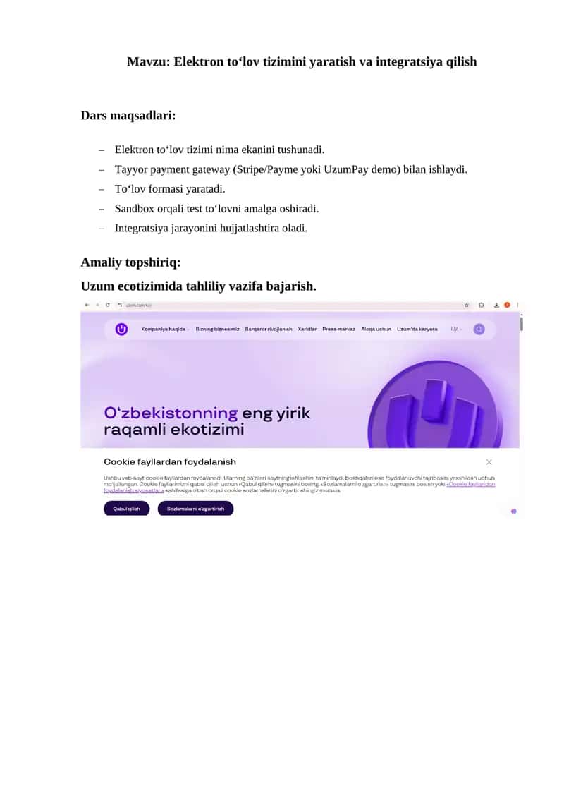 Elektron to‘lov tizimini yaratish va integratsiya qilish